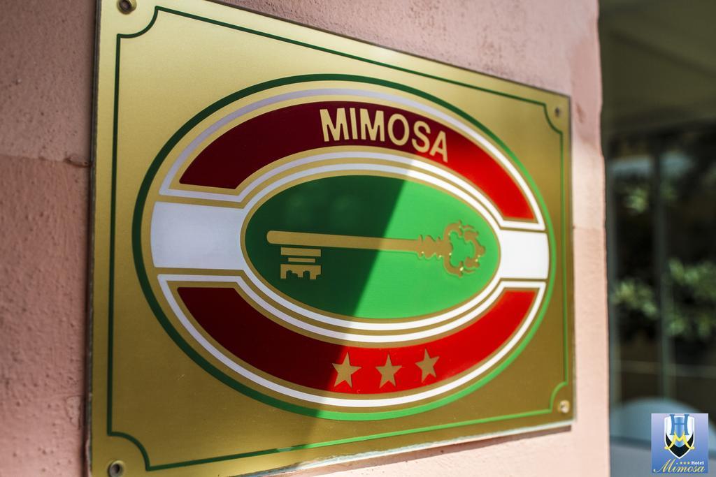 Mimosa Spotorno